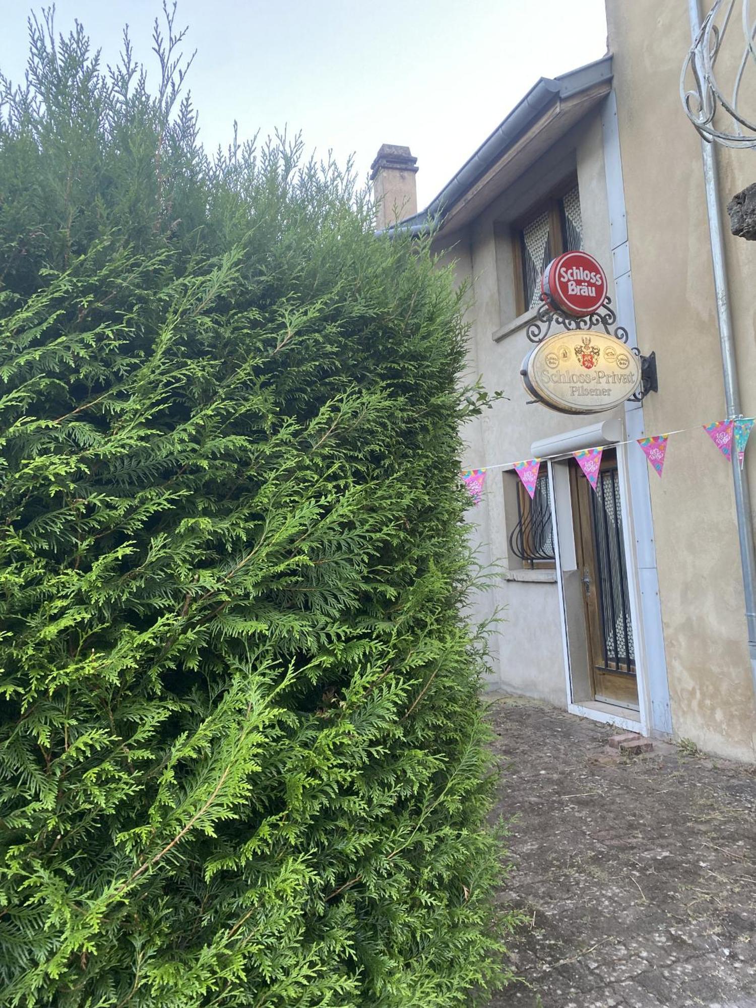 Villa La Mariefacture - Comme A La Guinguette ! Hombourg-Haut Exterior foto